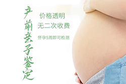 怀孕期间资阳怎么做胎儿亲子鉴定，在资阳怀孕期间做亲子鉴定准确吗